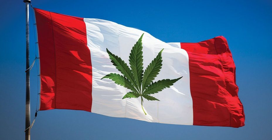 canada flag cannabis