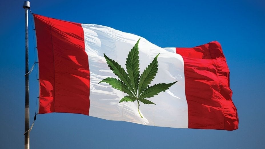 canada flag cannabis