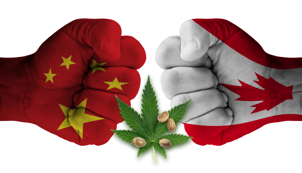 cannabis industry in China