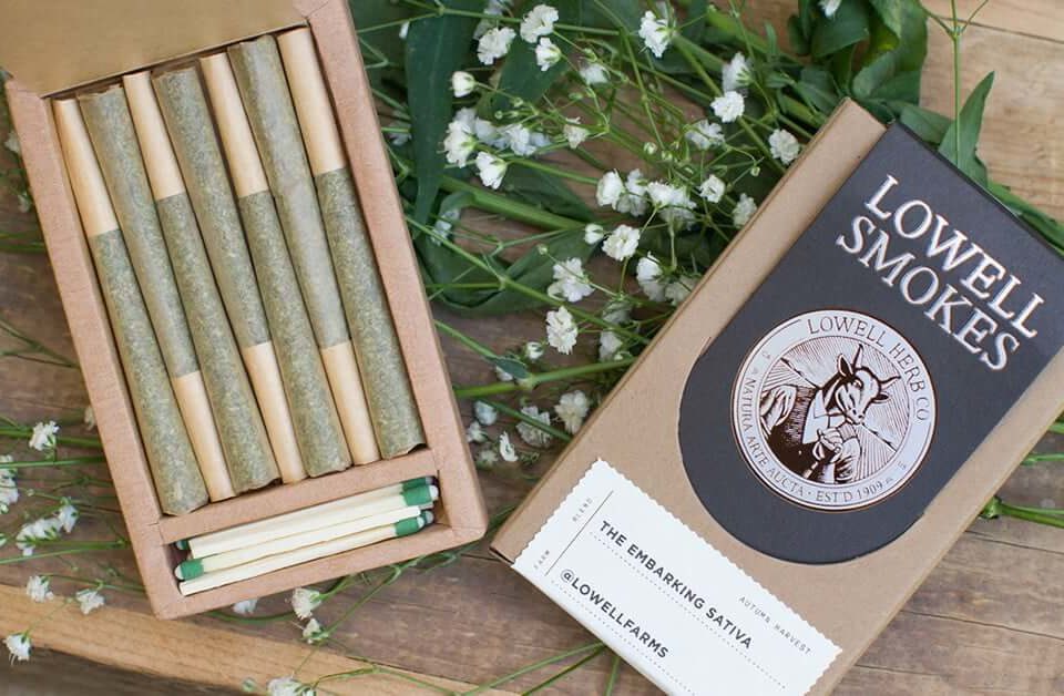 kraft-paper-boxes-for-pre-rolls-pic
