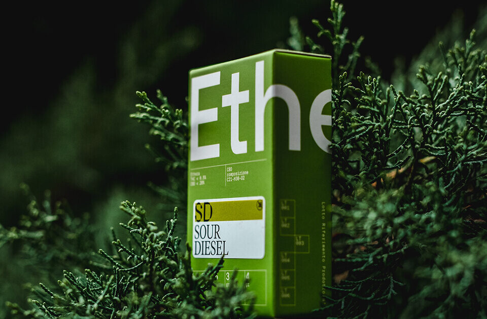 earth-friendly packaging - blog pic - ethera-brand