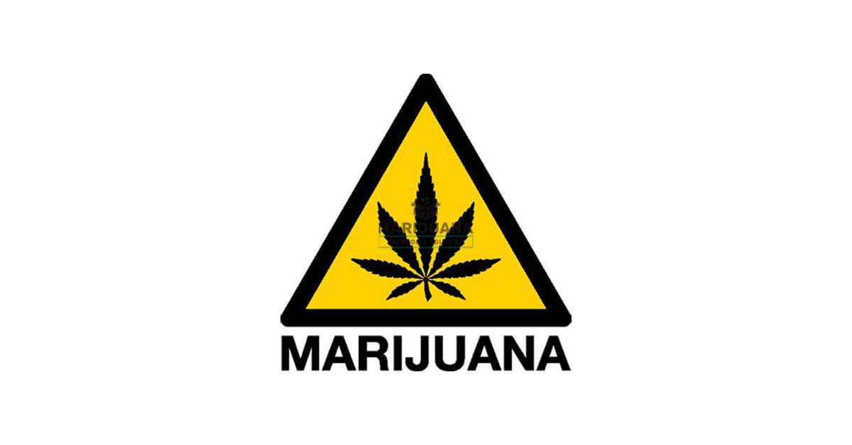 Montana -cannabis-universal-symbol