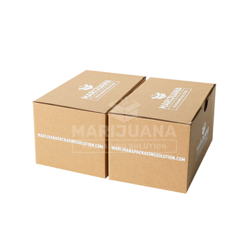 eco-frinedly brown kraft master carton box