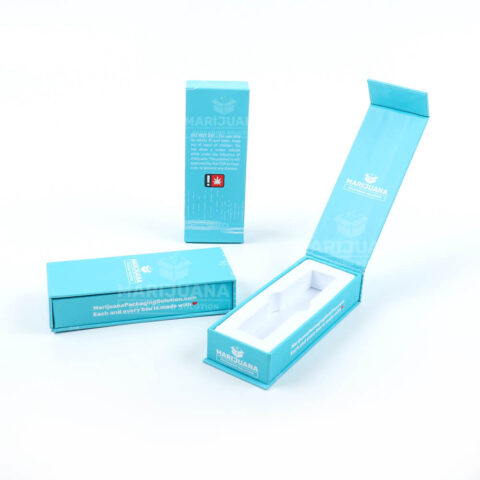 Li Rae In A Box RAE Disposable Packaging Magnetic Closure Boxes - Printed