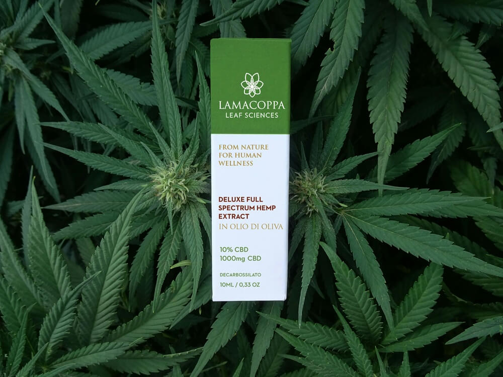 Lamacoppa hemp extract box placed on live cannabis leaves