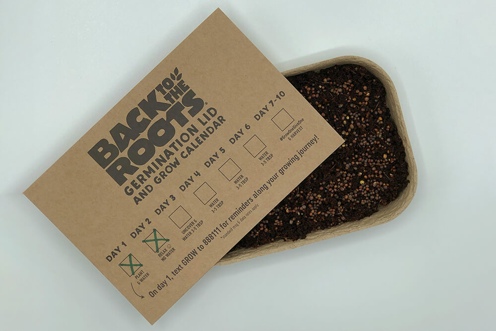 Seed germination tray with kraft calendar lid