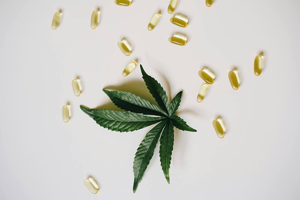 Cannabis leaf surrounded by softgel capsules on a white background