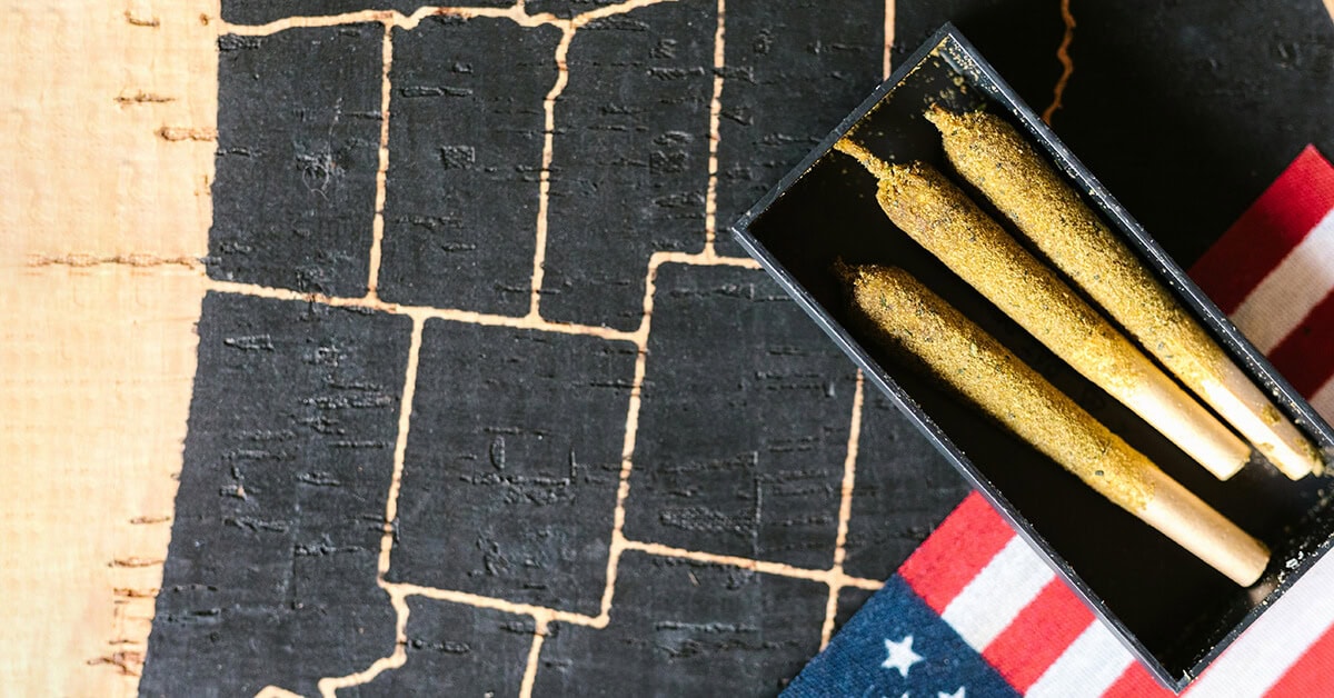 Close-up of three kief-coated pre rolled blunts in a black tray on an American flag background