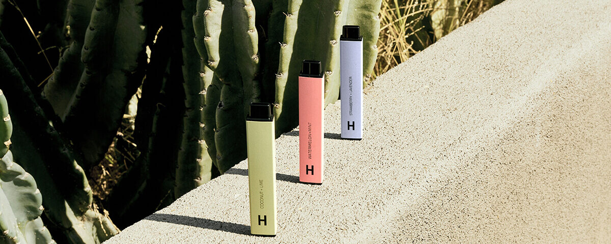 colorful AIO disposable vape standing on a concrete ledge beside cactus plants