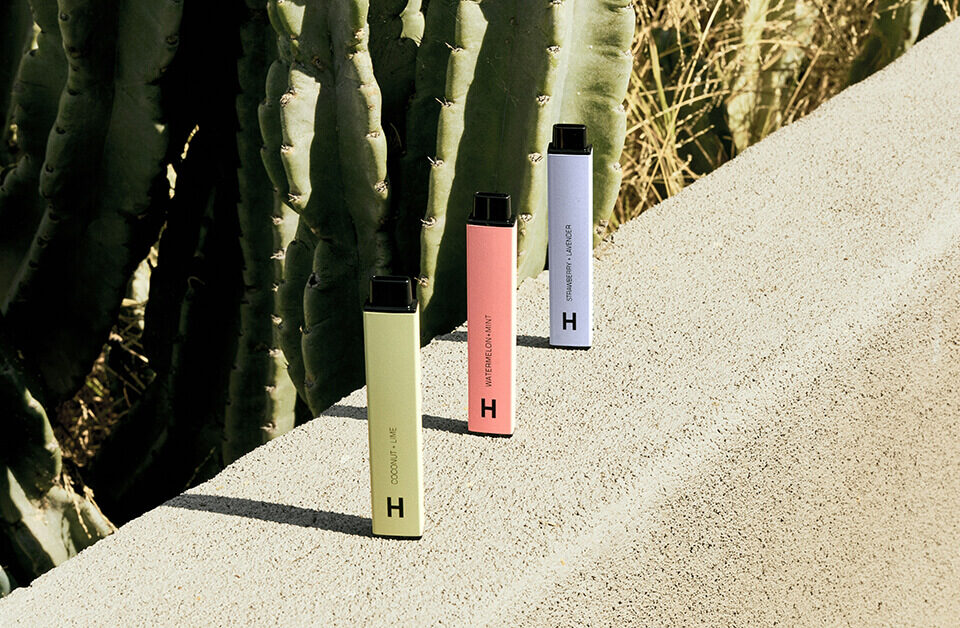 colorful AIO disposable vape standing on a concrete ledge beside cactus plants
