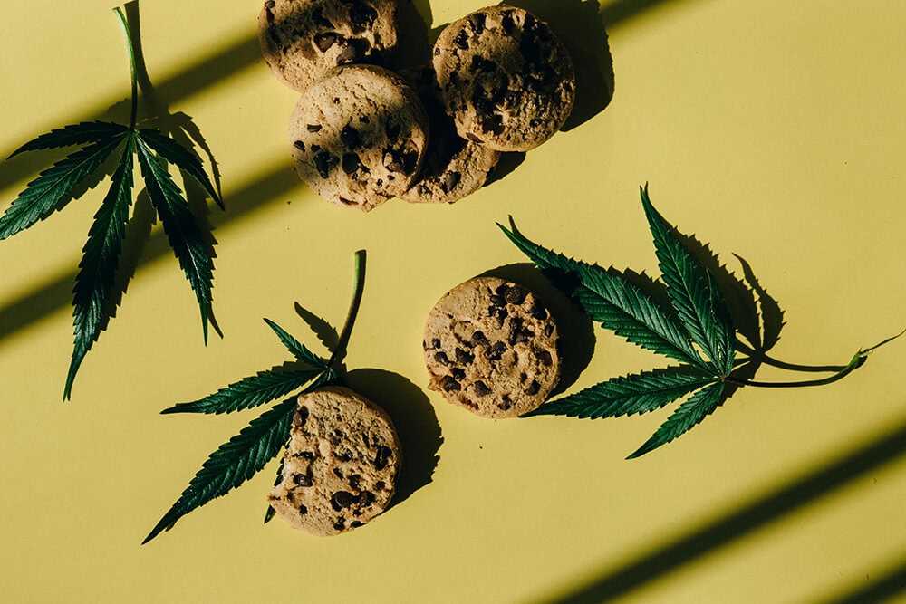 Cannabis-infused cookies with fresh hemp leaves on a yellow background.