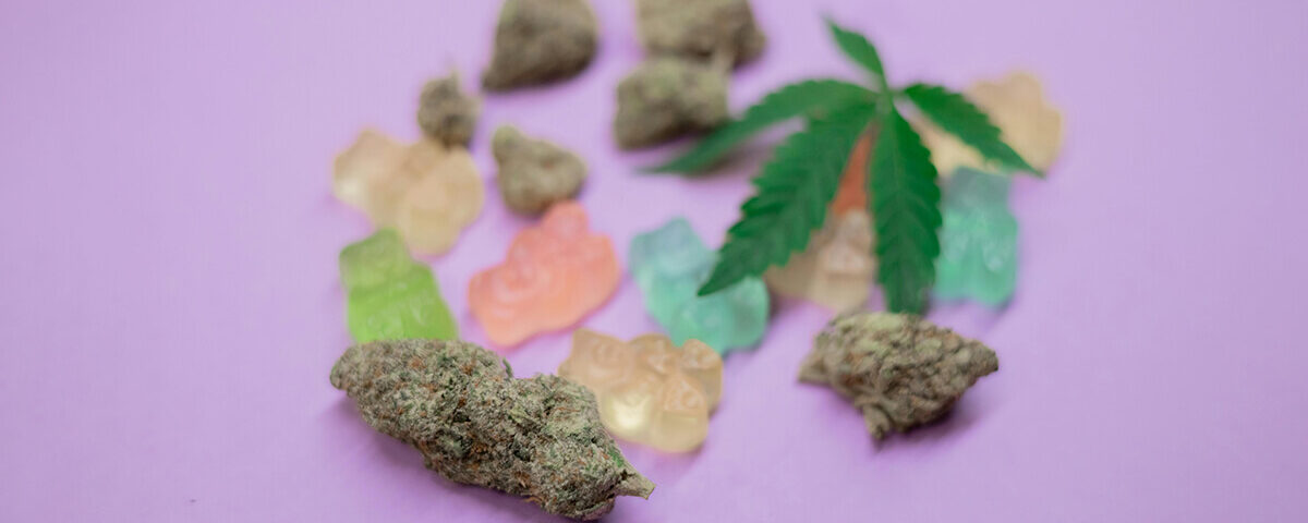 Cannabis candies with hemp leaf and flower buds on purple surface