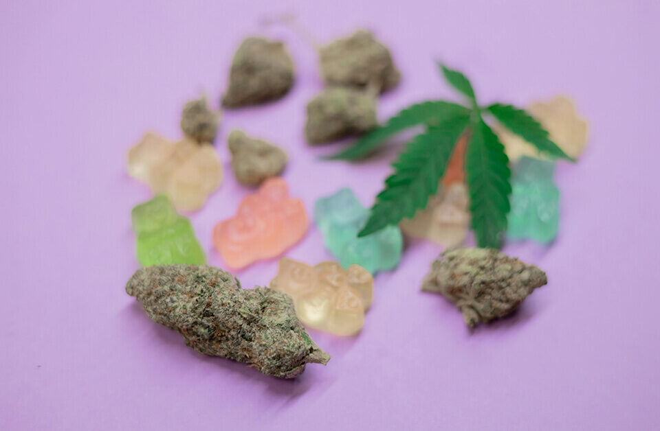 Cannabis candies with hemp leaf and flower buds on purple surface