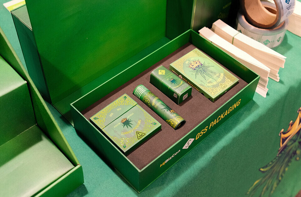 Custom cardboard packaging set in green cardboard box with branded inserts.